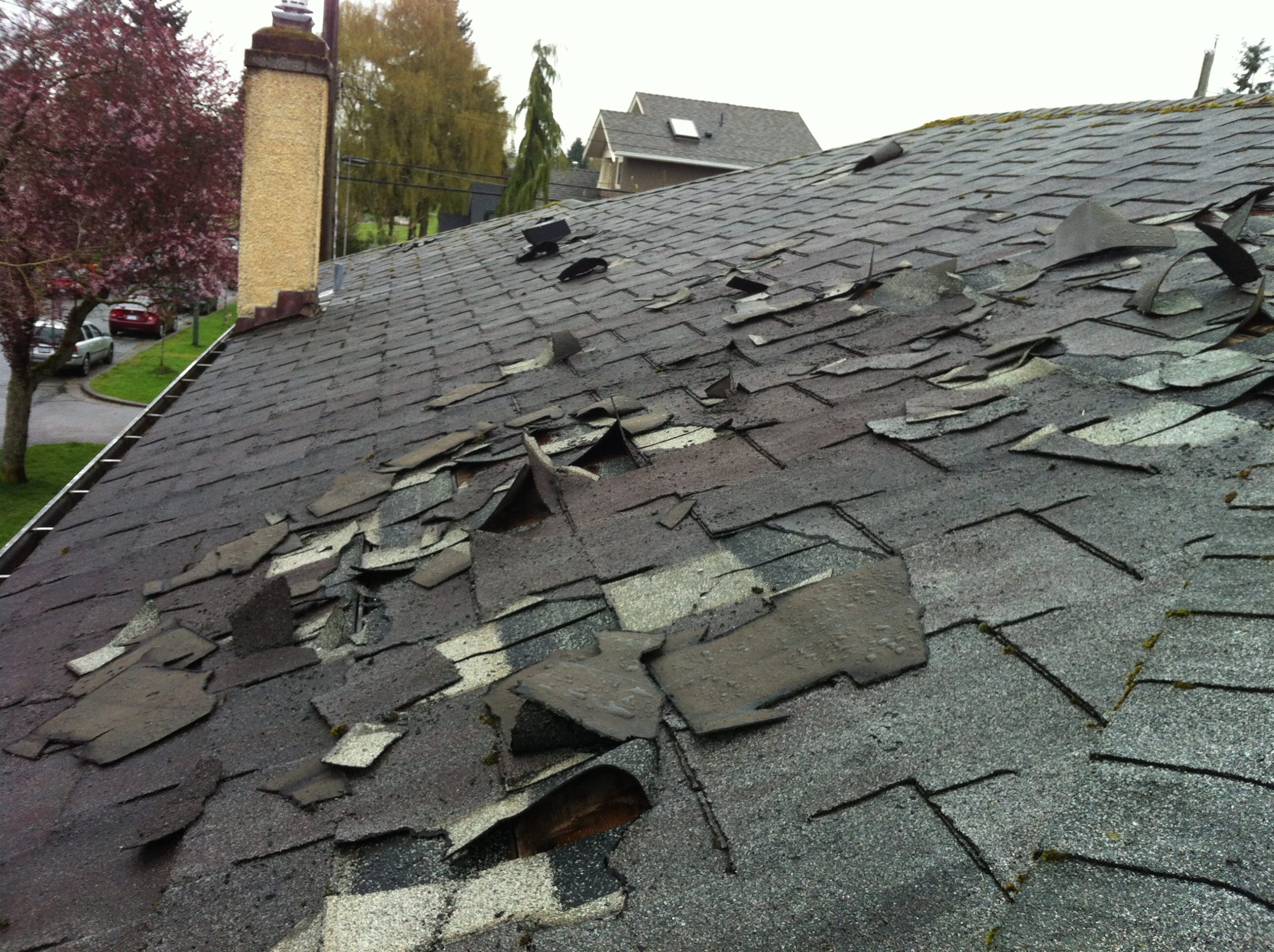 Things To Know While Buying A House That Needs New Roof Titan