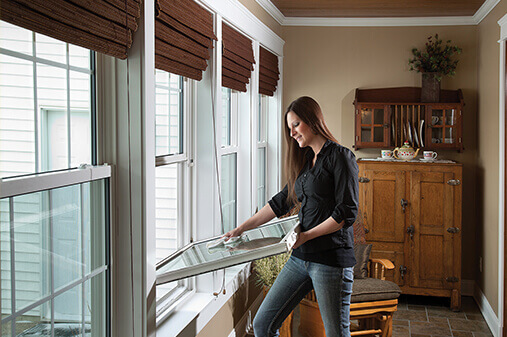 double hung window pinnacle series from Titan Construction 