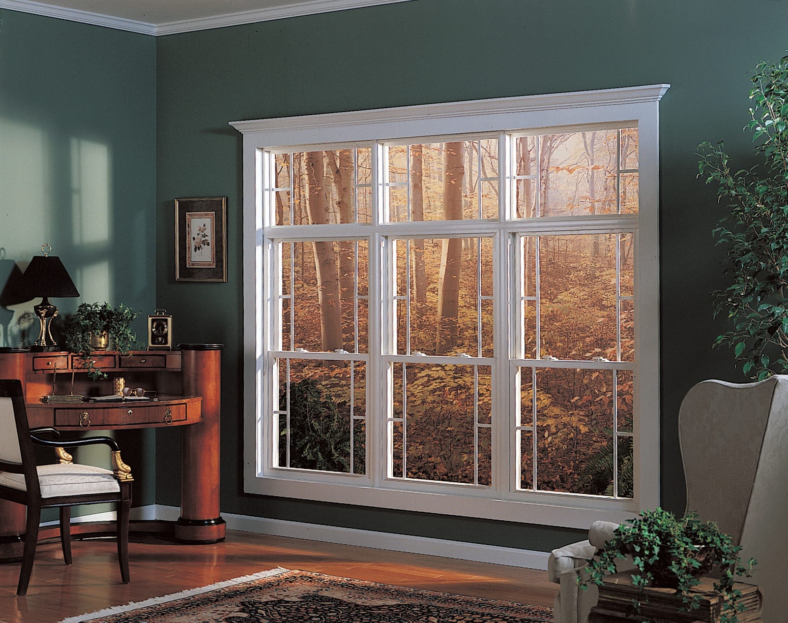 Earthwise Windows