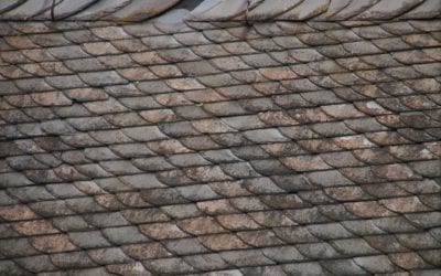 Five Reasons Why You Might Need Roof Leak Repair