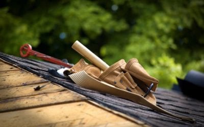 Professional Vs DIY Roof Replacement: Which Is the Best Choice?