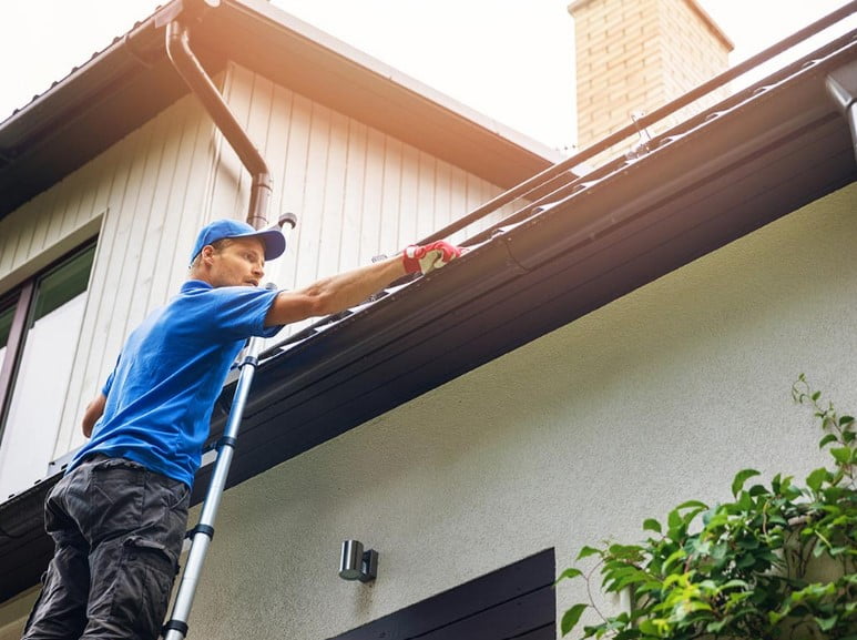 gutter cleaning service