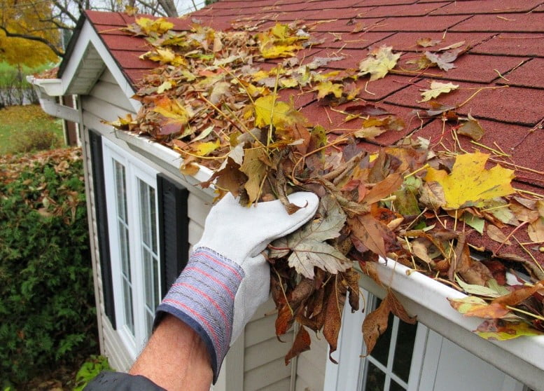 gutter cleaning service