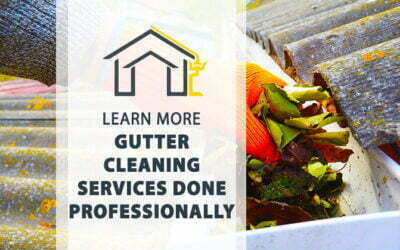 Gutter Cleaning Services Done Professionally